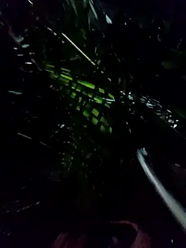 mis312 online show from January 8, 5:10 am