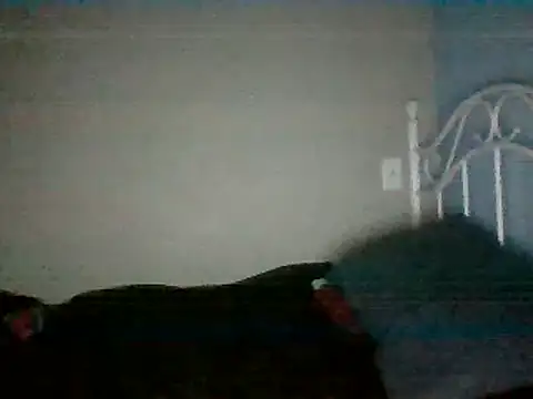 SmokingSloth online show from March 16, 5:14 am