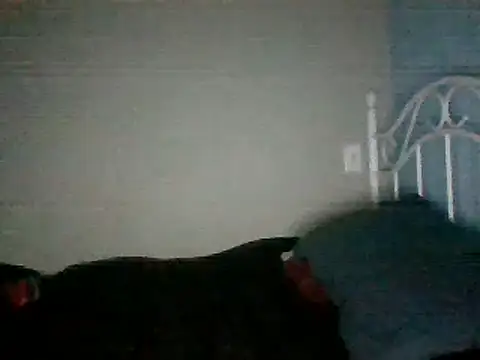 SmokingSloth online show from March 16, 11:27 am