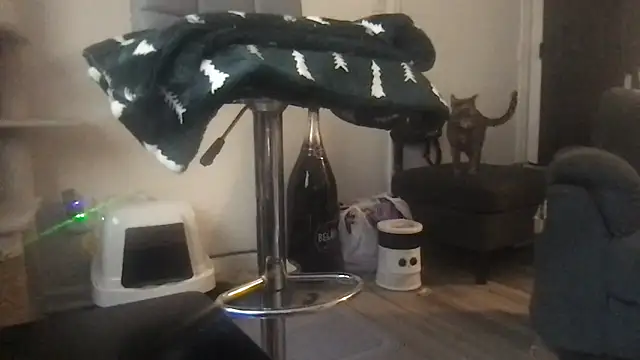 SpunCandy online show from March 20, 8:25 pm