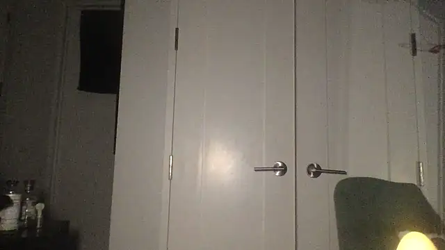 Snapshot of tsbeginnerfun chatting on January 22, 8:29 am tsbeginnerfun online show from January 22, 8:29 am