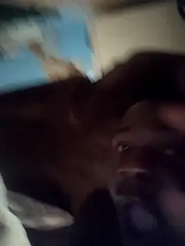 stephbig777 online show from November 7, 3:17 am