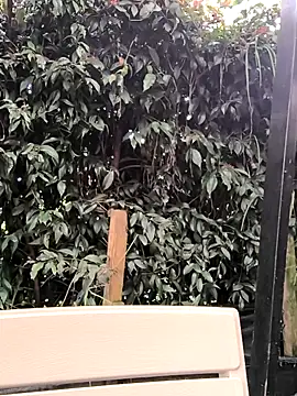 Fun Everywhere online show from March 14, 8:38 pm