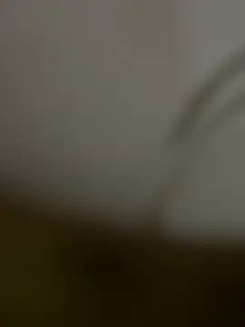 Snapshot of pietro89 chatting on May 31, 8:43 pm pietro89 online show from May 31, 8:43 pm