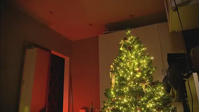 Snapshot of Arianna_Richi chatting on December 30, 8:54 am Arianna Richi online show from December 30, 8:54 am