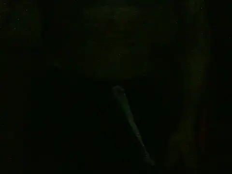 dangerman94 online show from October 22, 2:34 am