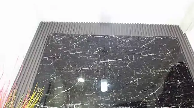 Snapshot of NalaRoy chatting on December 10, 11:54 am NalaRoy online show from December 10, 11:54 am