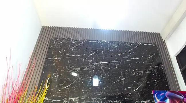 Snapshot of NalaRoy chatting on December 15, 6:29 am NalaRoy online show from December 15, 6:29 am