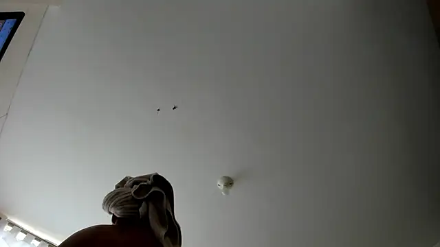 Snapshot of evely_coelloo chatting on September 9, 9:14 pm evely coelloo online show from September 9, 9:14 pm