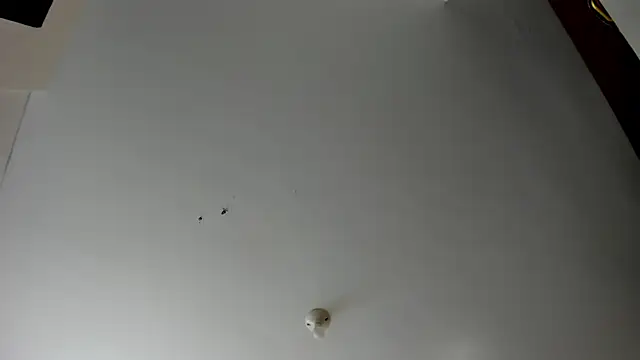 Snapshot of evely_coelloo chatting on November 5, 4:07 pm evely coelloo online show from November 5, 4:07 pm