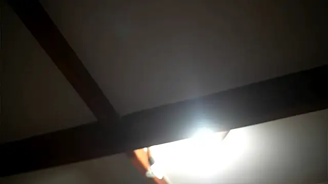 Bellis Perenis online show from February 27, 9:09 am