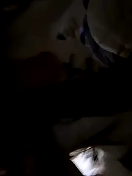 Snapshot of Sweet-Angel999 chatting on November 30, 5:28 pm Sweet-Angel999 online show from November 30, 5:28 pm