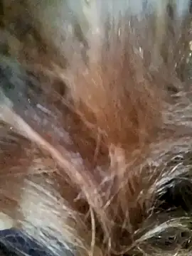 Beautyy38 online show from December 26, 3:16 am