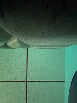 Snapshot of dulce_celeste15 chatting on November 15, 3:08 pm dulce celeste15 online show from November 15, 3:08 pm