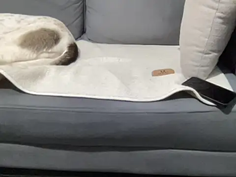 4small4inchlol online show from March 15, 11:19 am