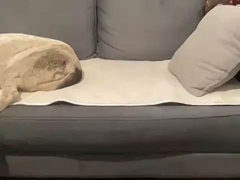 4small4inchlol online show from September 17, 9:00 am