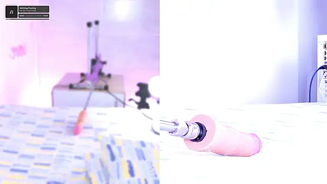 pamela cm online show from February 28, 11:55 am