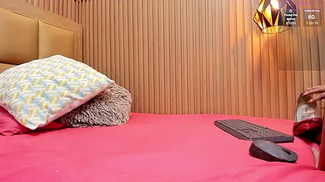 LINASTARK online show from November 27, 3:30 am