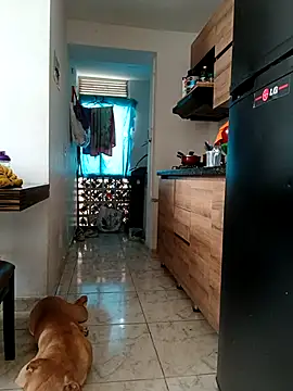 LEIRIS Y FRED 01 online show from January 19, 2:43 pm