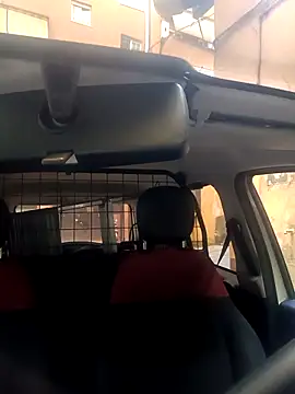 Snapshot of Porco81cazzo chatting on November 29, 8:50 am Porco81cazzo online show from November 29, 8:50 am