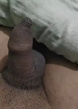 Snapshot of iaparna chatting on December 29, 6:38 pm iaparna online show from December 29, 6:38 pm