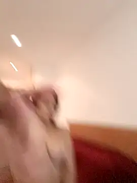 THIAGOEVA online show from December 10, 12:05 pm