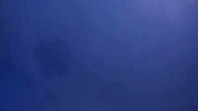 Snapshot of celestelewis chatting on March 19, 7:49 pm celestelewis online show from March 19, 7:49 pm