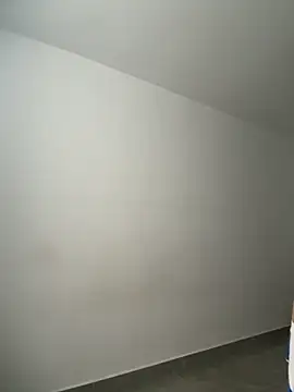 Arilw online show from November 14, 1:10 pm