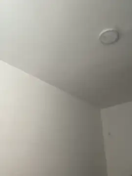 Arilw online show from November 21, 2:05 pm