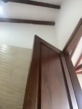 Arilw online show from February 8, 3:04 pm