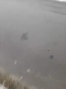 Snapshot of BRUNNA chatting on March 20, 3:34 am BRUNNA online show from March 20, 3:34 am