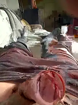 Andy-370 online show from September 21, 11:56 am