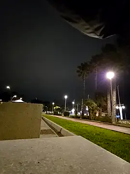 charlye inkkkk online show from February 28, 11:39 pm