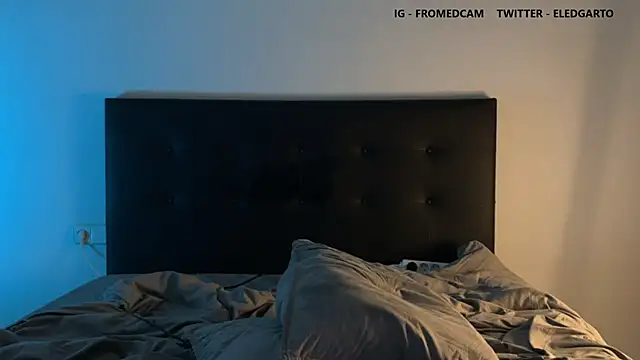 Snapshot of fromed chatting on January 25, 12:17 am fromed online show from January 25, 12:17 am