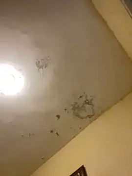 Snapshot of tobiramalapara chatting on December 16, 2:22 pm tobiramalapara online show from December 16, 2:22 pm