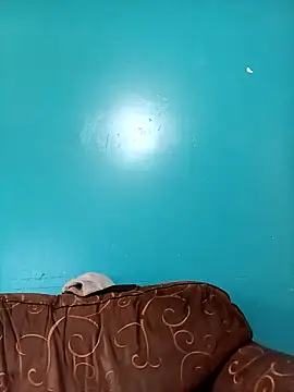 TUMORENO1 online show from September 8, 8:41 pm