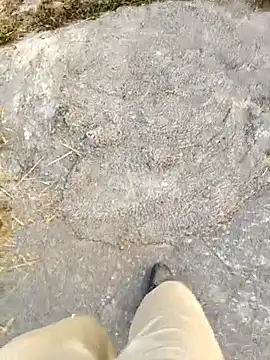 Snapshot of Ishan003 chatting on February 5, 1:32 am Ishan003 online show from February 5, 1:32 am