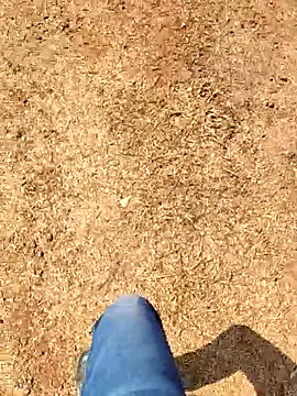 Snapshot of Ishan003 chatting on February 8, 5:22 am Ishan003 online show from February 8, 5:22 am