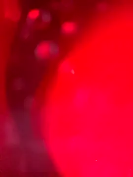 Cobra500hp online show from March 28, 7:19 am