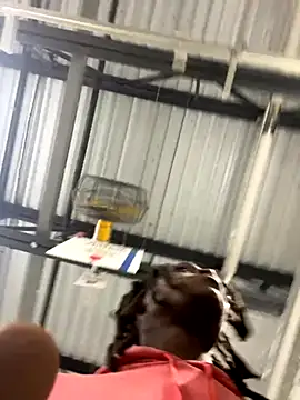 Snapshot of sneakylink13__ chatting on October 20, 1:17 am sneakylink13 online show from October 20, 1:17 am