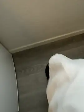 YoungCouple0604 online show from January 18, 10:08 am