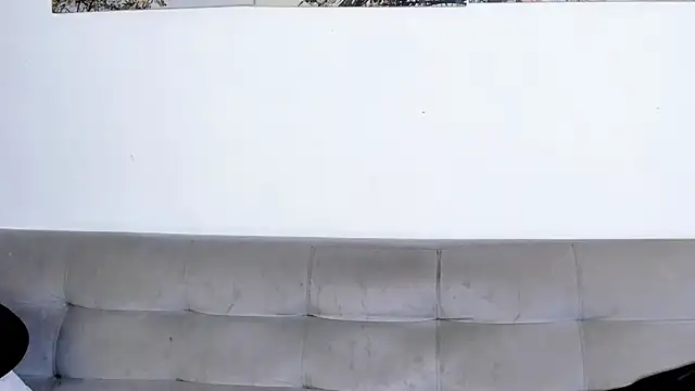 Dvid Rullers online show from January 7, 1:24 pm