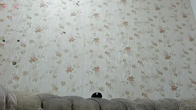 fer dz online show from January 31, 11:56 am