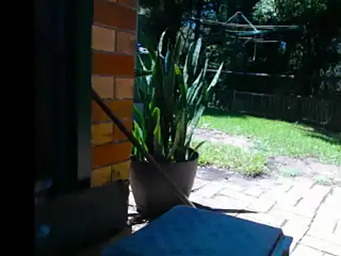 Snapshot of InfamousBabyy_ chatting on December 12, 12:27 am InfamousBabyy online show from December 12, 12:27 am