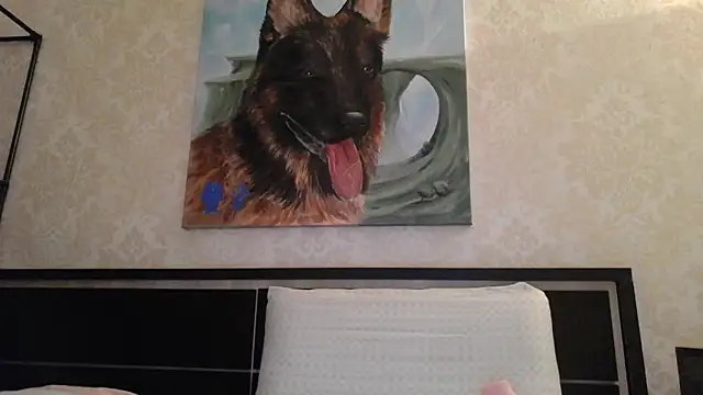 Kashtanka  online show from February 23, 6:01 pm