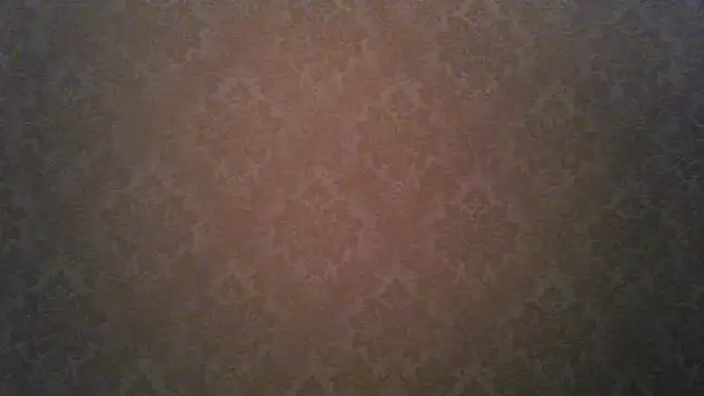 Kashtanka  online show from November 21, 4:55 am