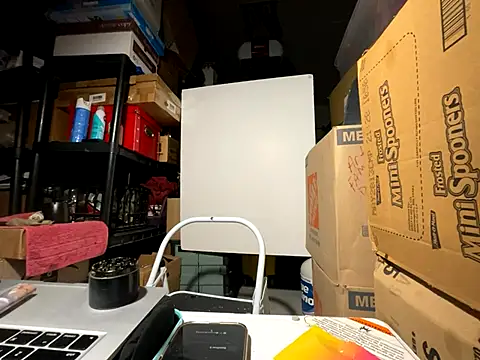 wynterheat online show from December 2, 8:04 pm