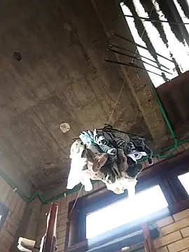 gigolopez1 online show from February 15, 12:14 pm