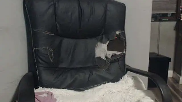 sexyfuckers online show from November 6, 9:37 pm