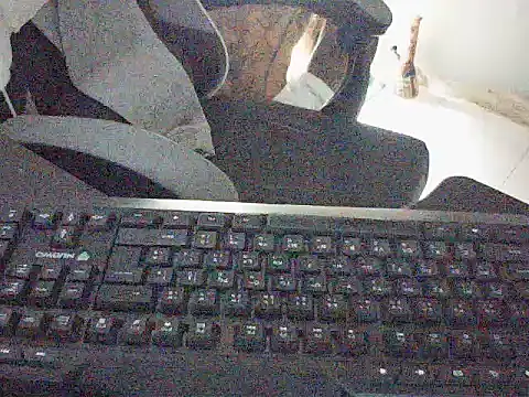 Snapshot of DZ1996 chatting on November 16, 10:32 am DZ1996 online show from November 16, 10:32 am